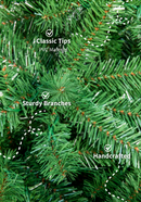 Árvore Majestade Verde com Luzes